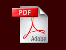 PDF icon